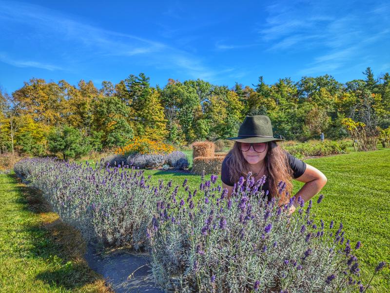 forest bathing purple haven