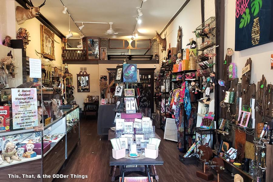 Only in Ypsilanti: 6 Eccentric Shops to Visit Now!