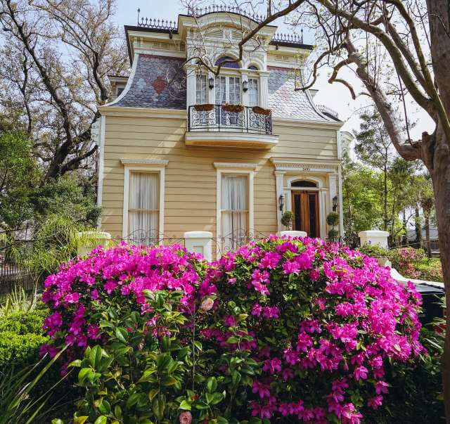 Esplanade Ave & North Dorgenois - Springtime Architecture - Azaleas