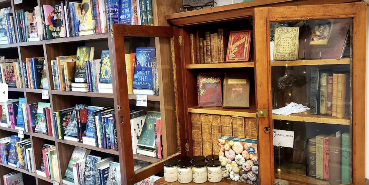 Bookshelves at Bespoke Books