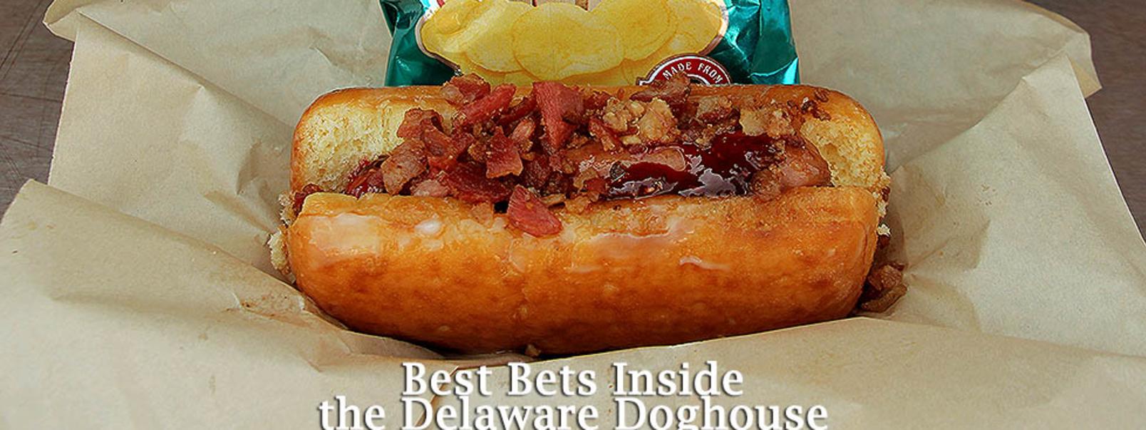 Hot Diggity Dog Best Bets Inside The Delaware Doghouse From