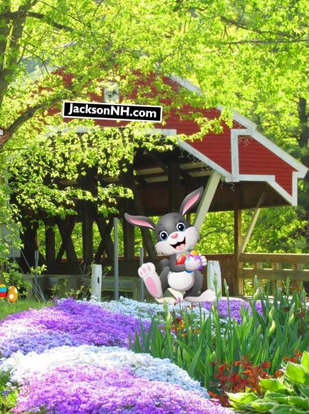 Jackson, NH Red Bridge and Flowers with Bunny Graphic