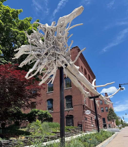 A gigantic tree installation of public art on Main Street in Burlington