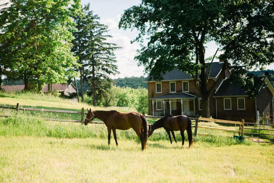 Pittsburgh Polo Club