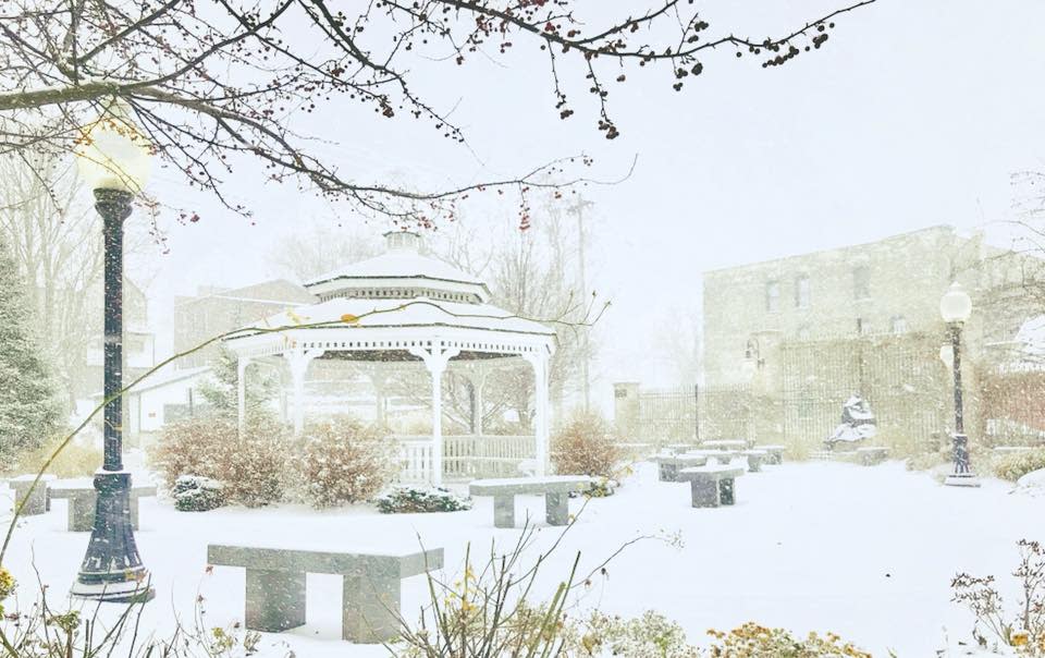 gazebo, bare tree branch and old fashioned lamp post in snow covered memorial heritage garden