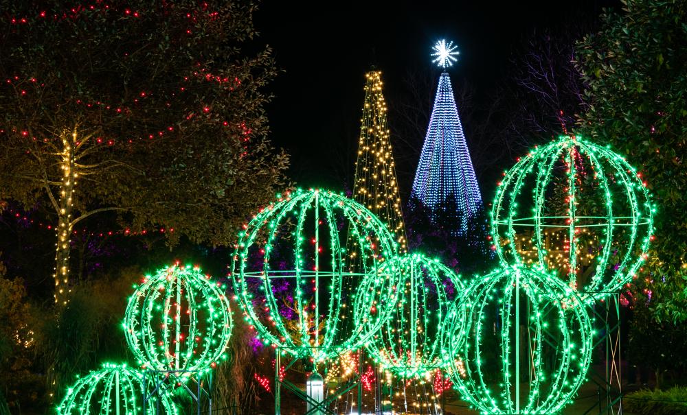 Winter Lights at the NC Arboretum