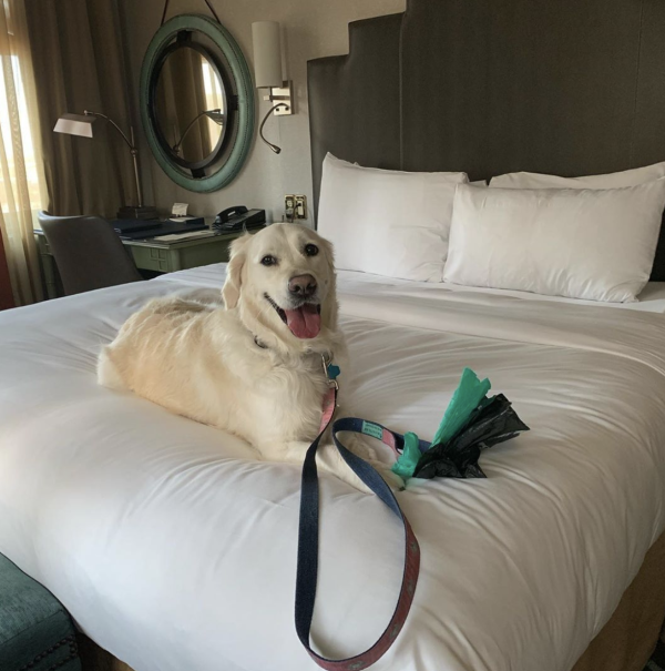 Hotel Icon