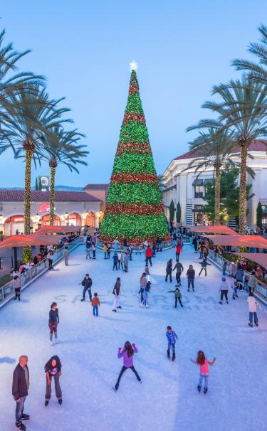 Outdoor Ice Skating Rink