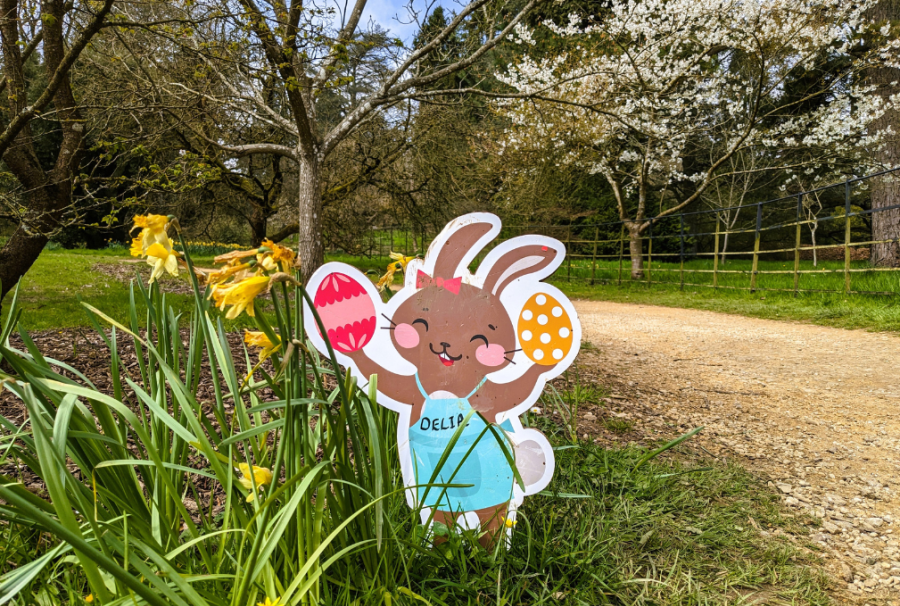 A colourful bunny picture amongst daffodils at Batsford Arboretum