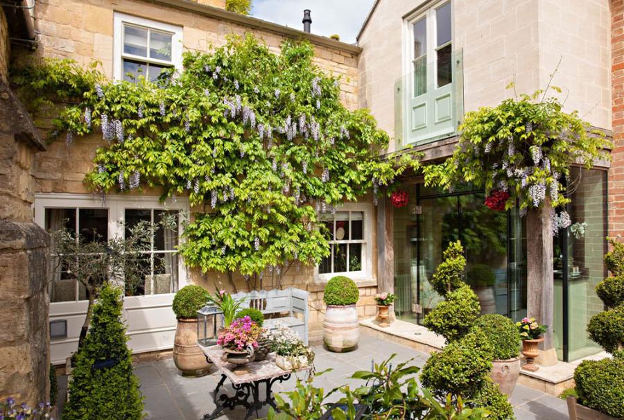 A cottage courtyard garden with wisteria growing up the house and topiary bushes dotted around the patio