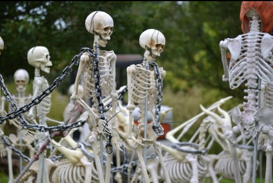 Skelton displays at the Haunted Housel on County Road 4, Canandaigua NY
