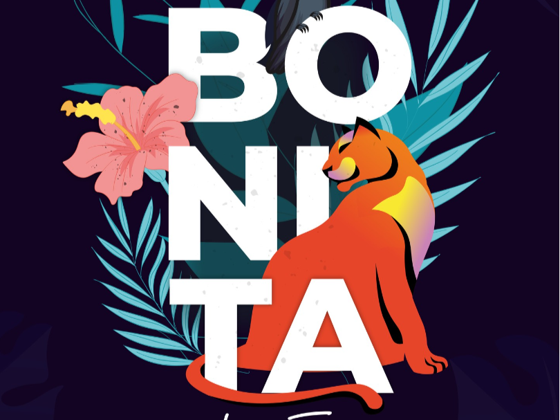Bonita Latin Fusion & Cocteleria Logo