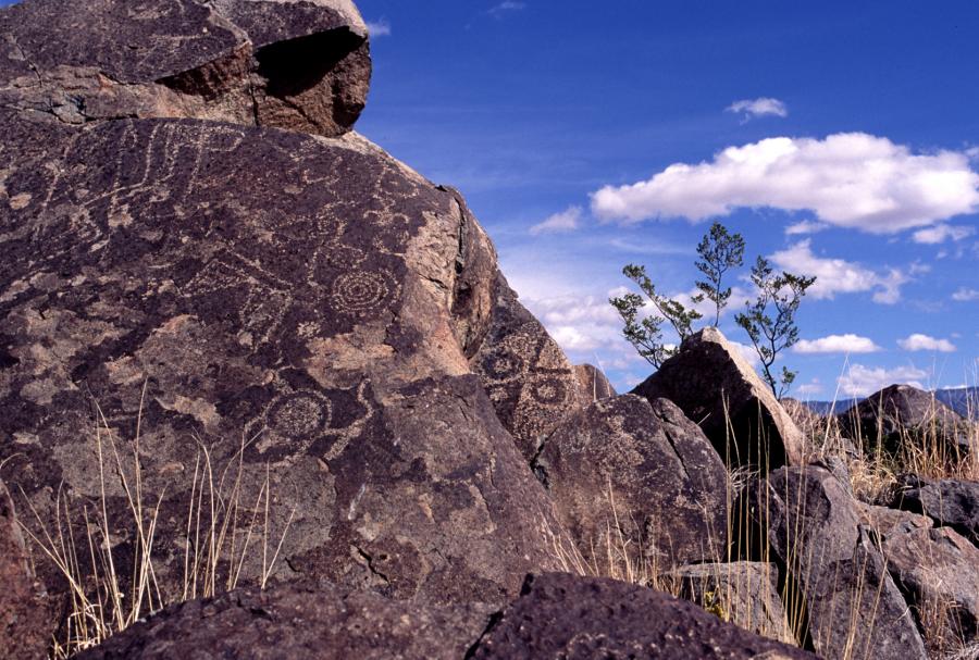 Petroglyph National Monument 4