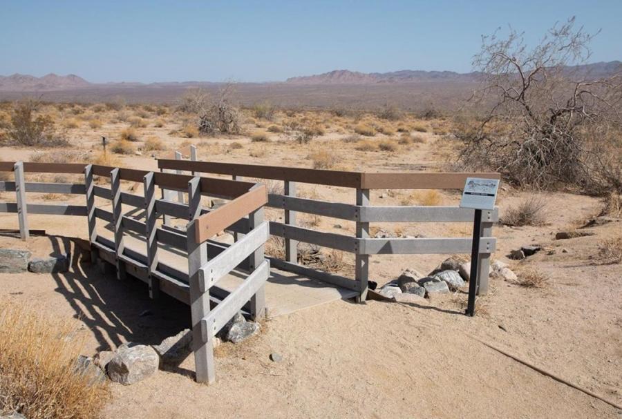 Bajada Trail Head in Joshua Tree