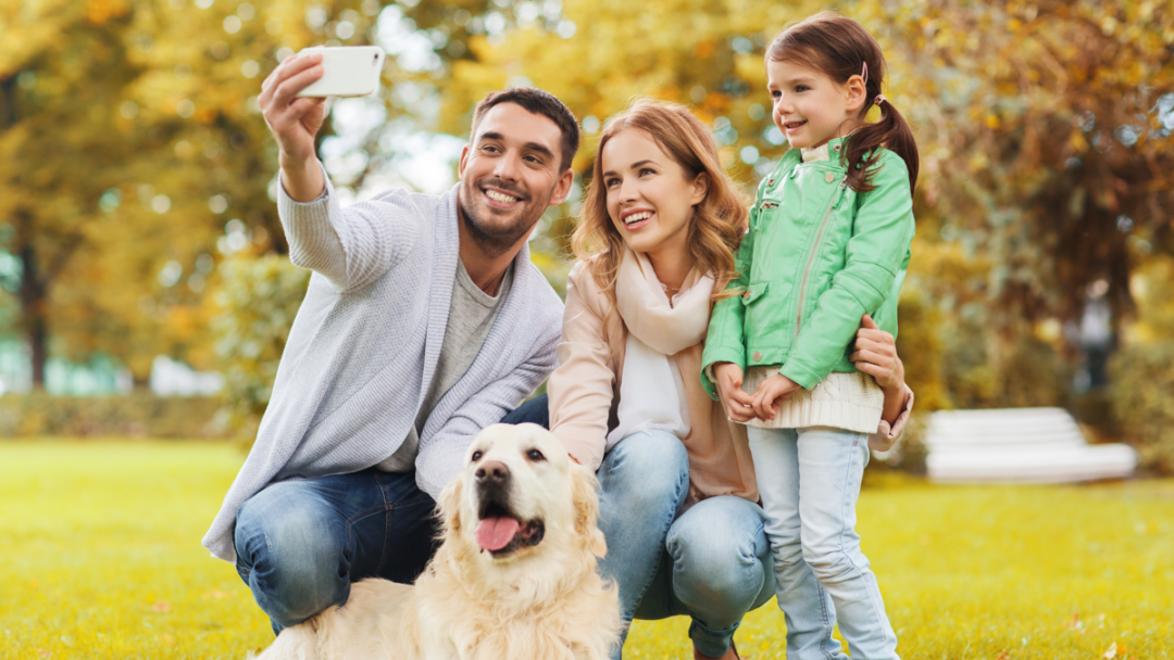 Pet-Friendly Houston