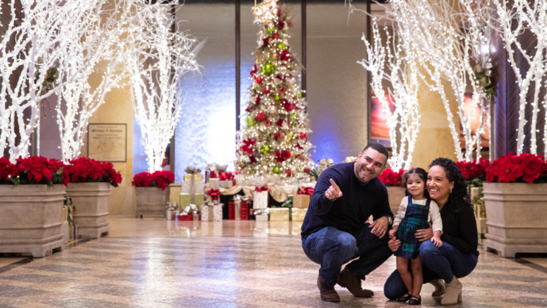 Hilton Americas Houston