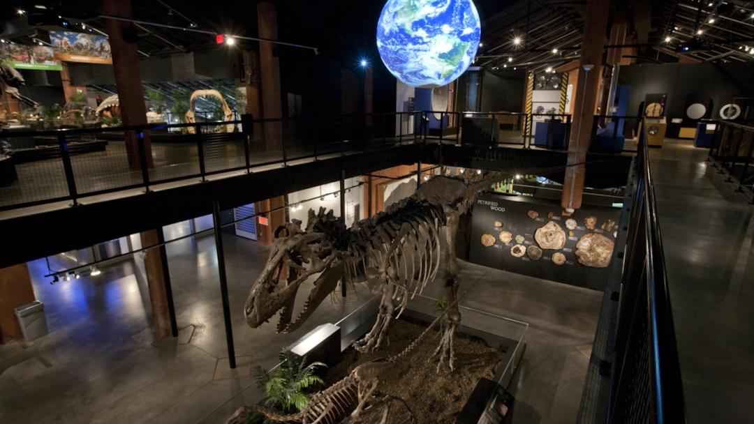 Sugar Land Museum of Natural Science