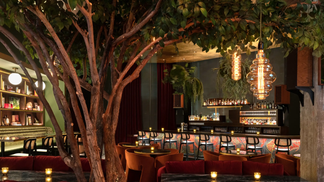 The Lymbar