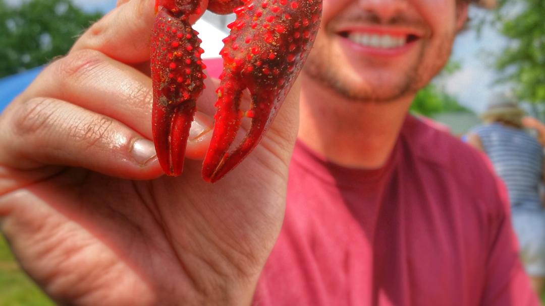 Crawfish in Tomball