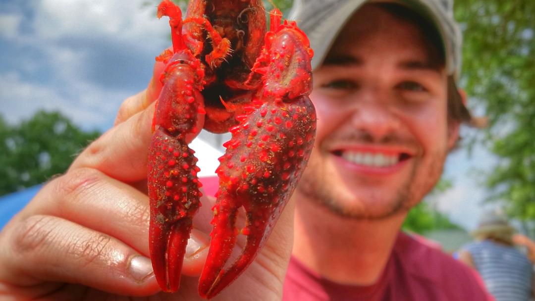 Tomball Crawfish