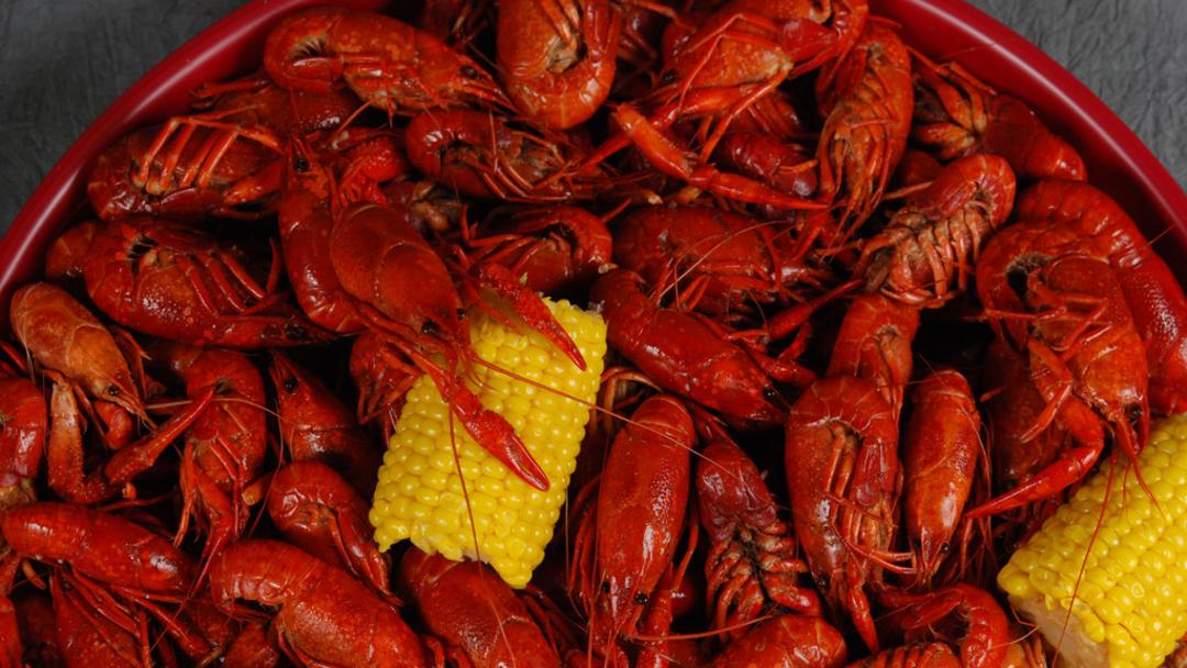 Crawfish 2