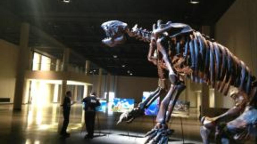 giant sloth hmns