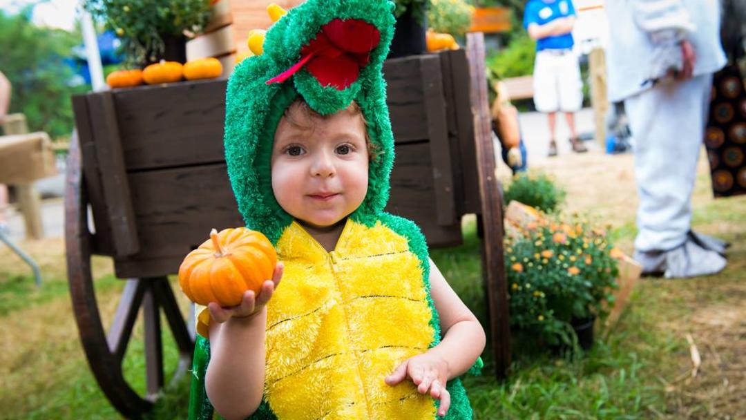 Houston Zoo Boo