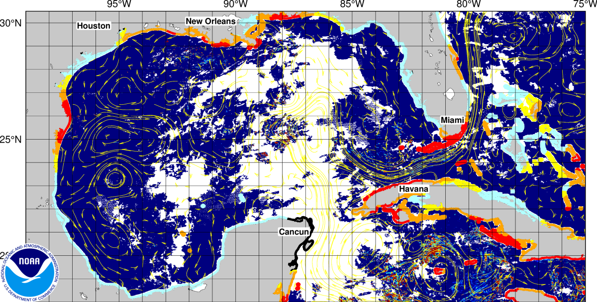 NOAA seaweed tracker