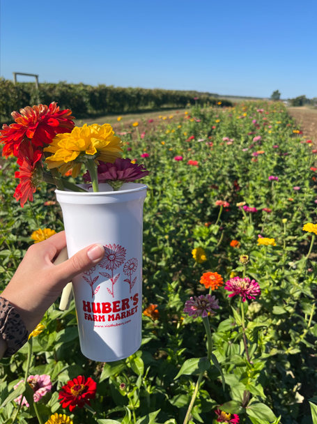 U Pick flowers from Huber's Orchard & Winery.