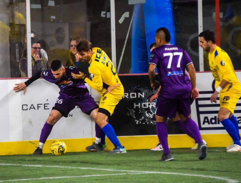 Harrisburg Heat 2019