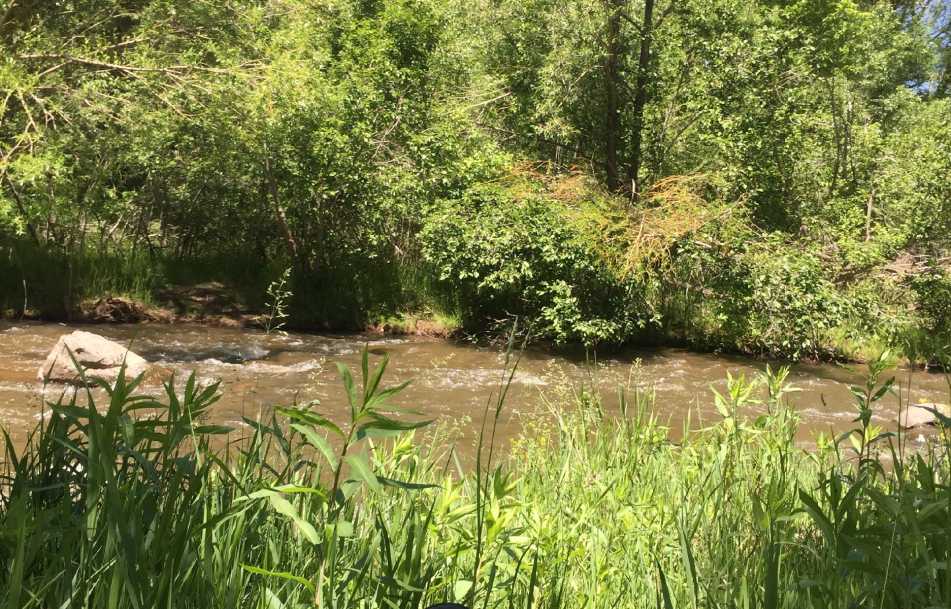 Trout fishing near Denver, Colorado