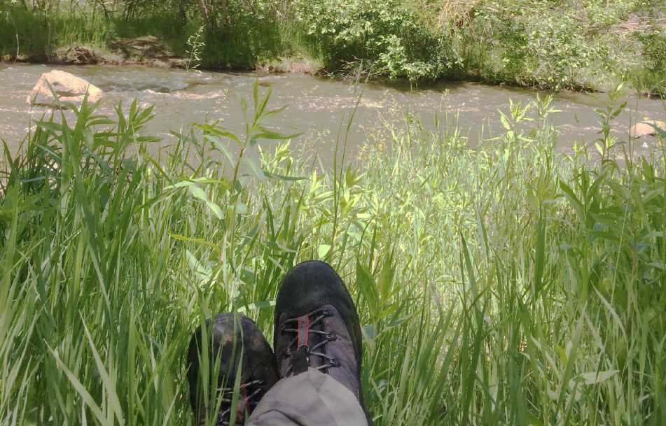 Trout fishing near Denver, Colorado.