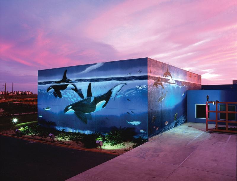 Wyland Wall