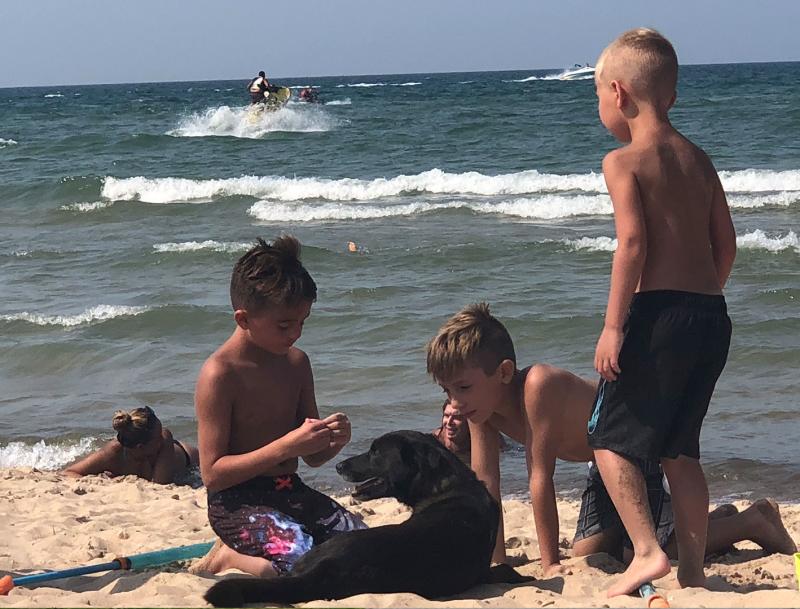 Kids and dog at Lake Street Beach