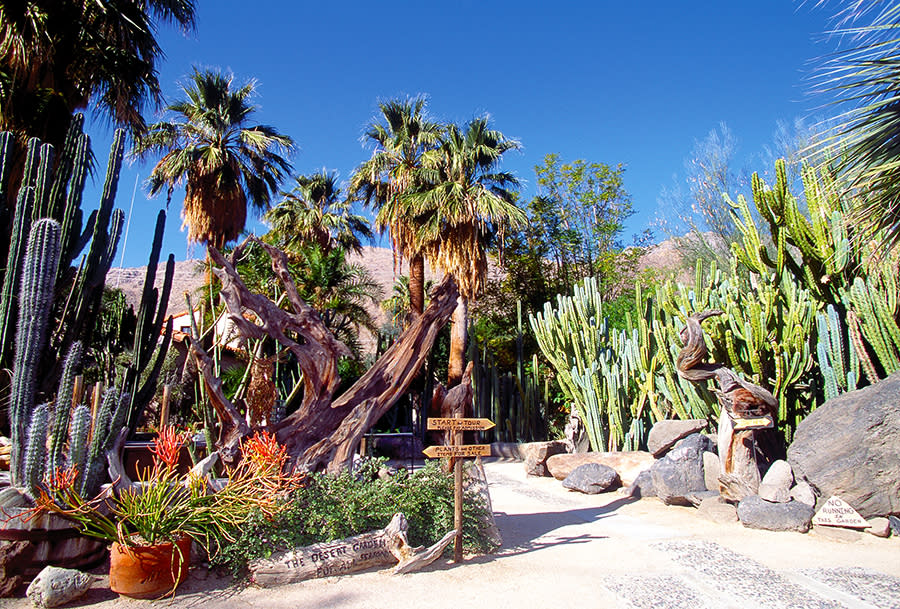 Moorten Botanical Garden