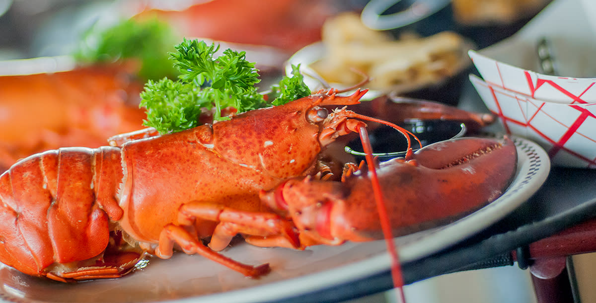 Lobster Pot, Cape Cod