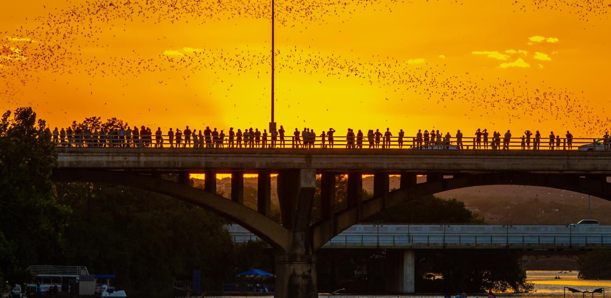 Image of people standing along the Congress Avenue Bridge at sunset watching the bats fly out from beneath the bridge.