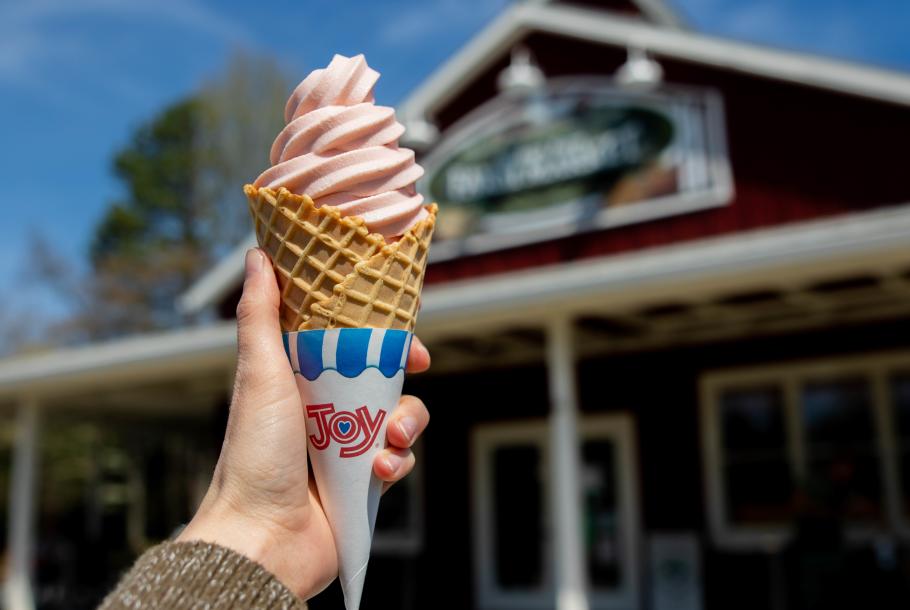 Soft Serve