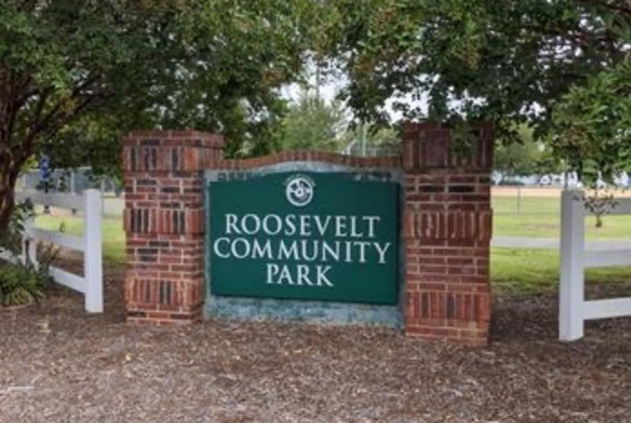 Centre Park, Clover1.jpg