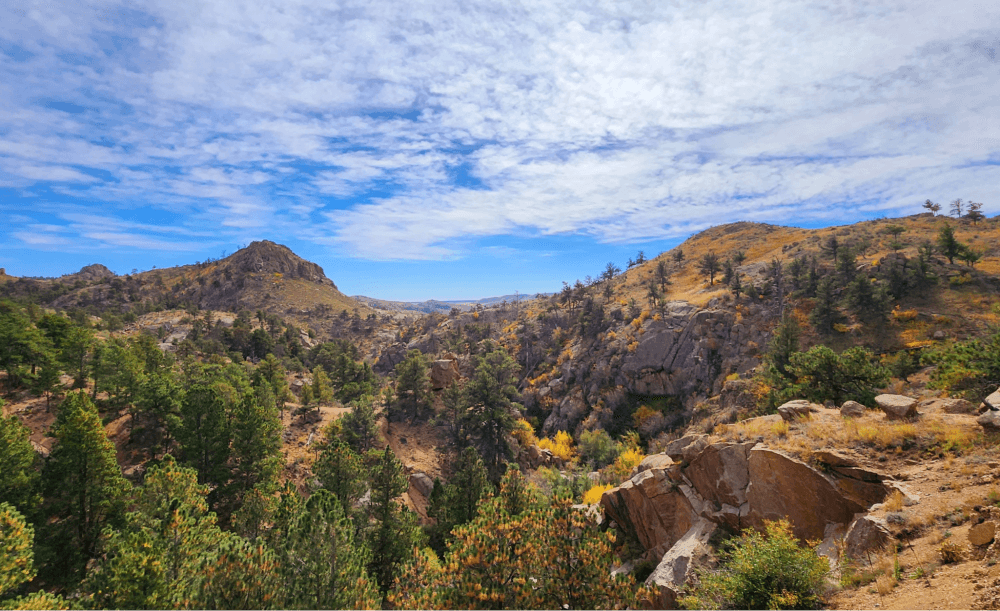 A photo of Curt Gowdy State Park in Wyoming, a popular spot for birding. The park has a variety of habitats, including lakes, forests, and meadows, which attract a wide range of bird species.