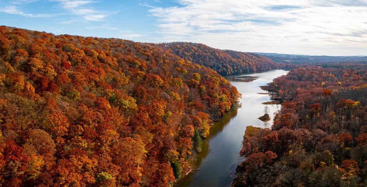 Laurel Hill State Park offers some of the most stunning fall foliage in the Laurel Highlands.