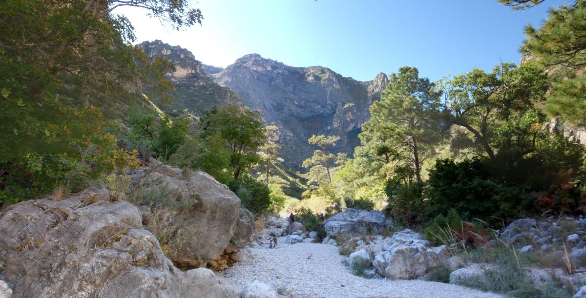 Lincoln Wilderness