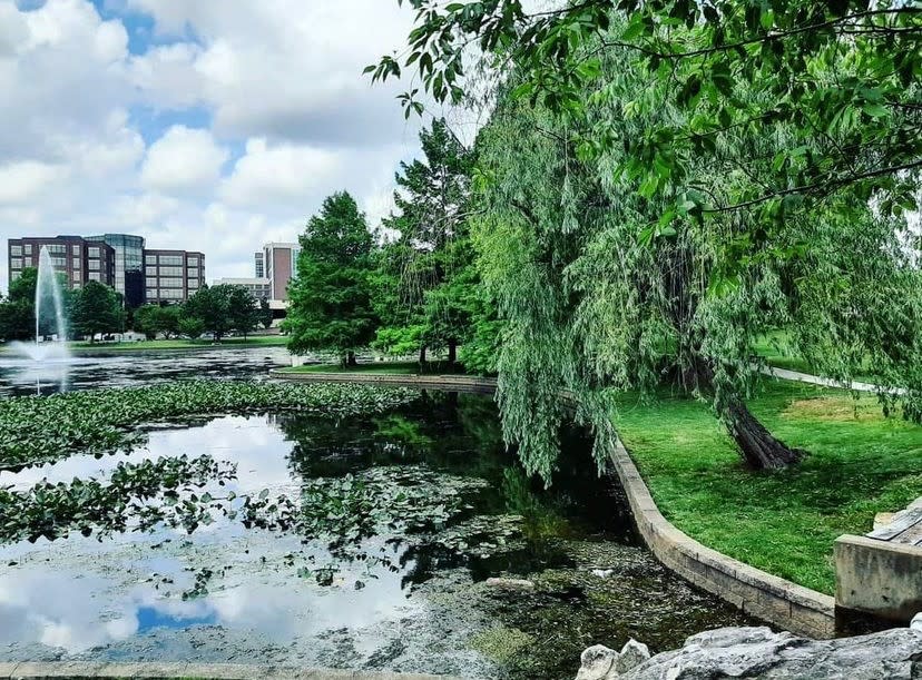 Bradford Park in Springfield, Missouri