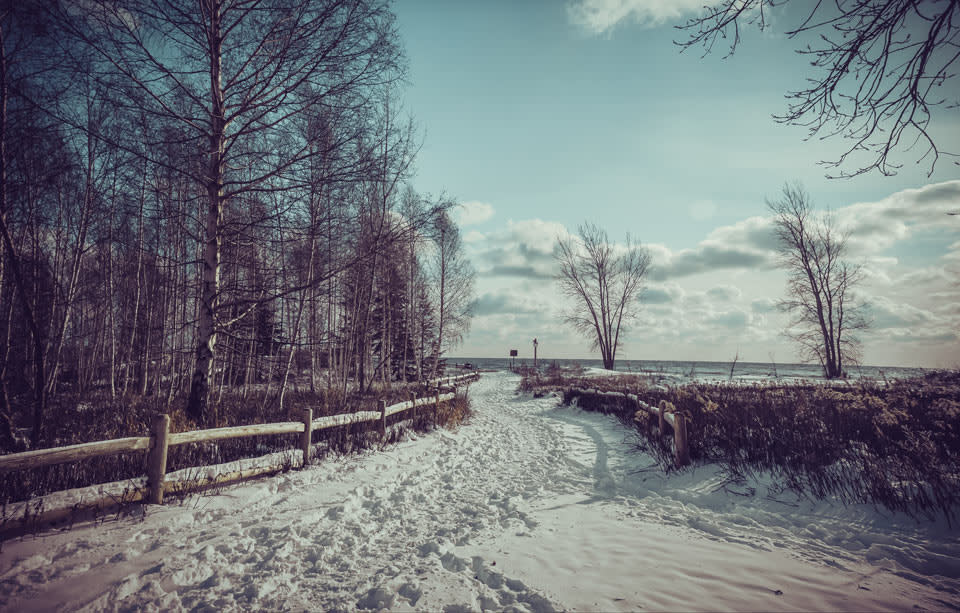 Things To Do on the Toronto Islands in the Winter