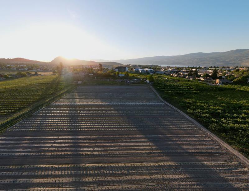 Aerial View of Agricultural Fields at Sunset - Paynter's Fruit Market