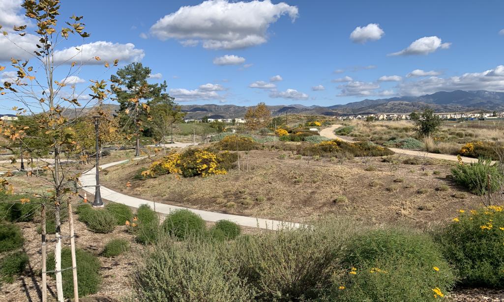 Best Parks For Picnics In Irvine California