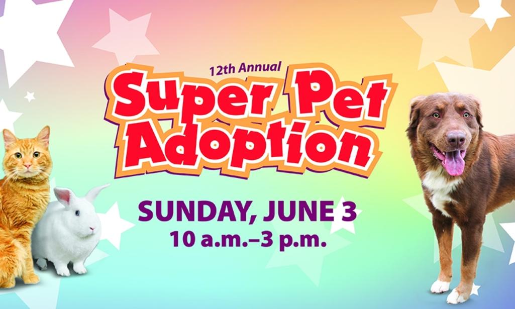 600 Pets Ready To Be Adopted At Irvine Animal Care Center On June 3