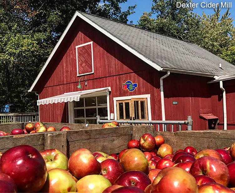 Dexter Cider Mill