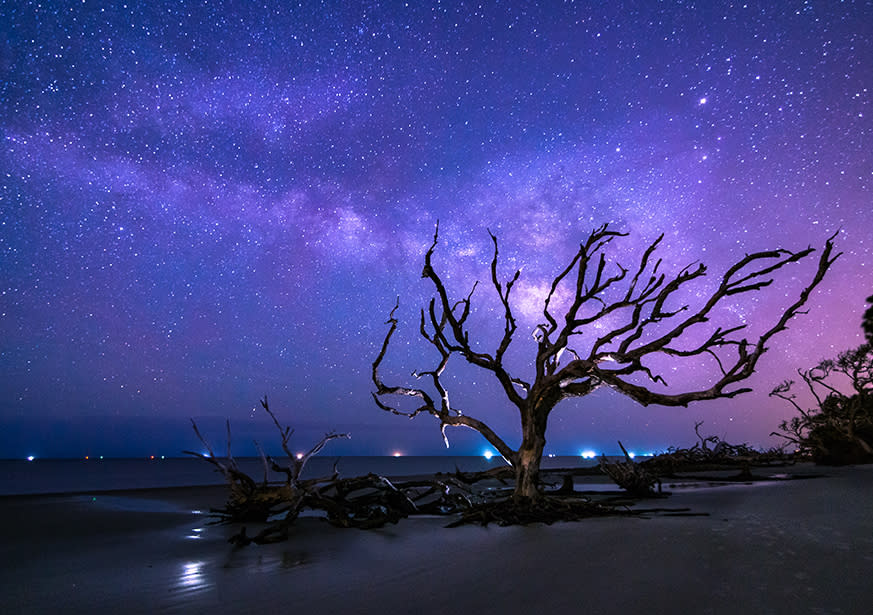 Milky Way over Driftwood Beach