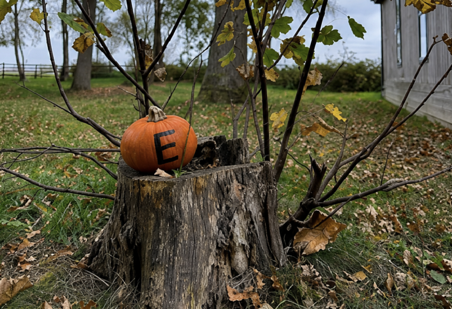 Carved Halloween pumpkin displayed on a tree stump among autumn leaves at Bluewood Lodges in the Cotswolds.